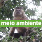 Meio Ambiente Diário do Grande ABC - Notícias e informações do Grande ABC: Santo André, São Bernardo, São Caetano, Diadema, Mauá, Ribeirão Pires e Rio Grande da Serra